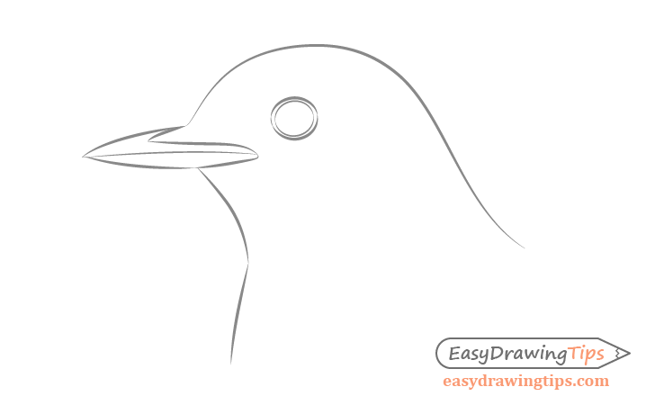 Bird head basic line drawing