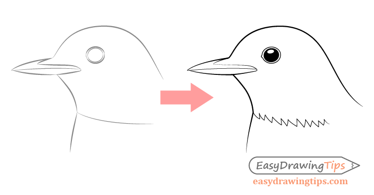 Bird head drawing