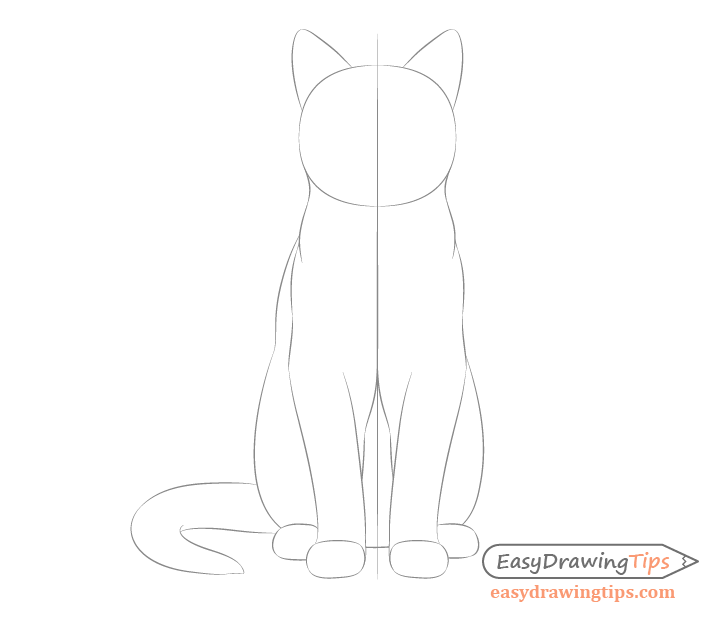 Cat body drawing