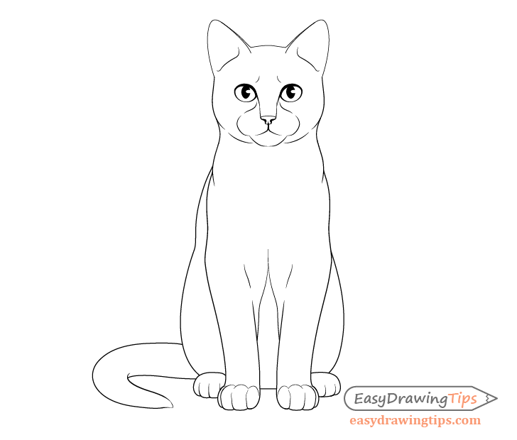 Cat sitting front view details drawing