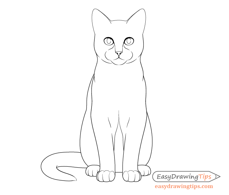 Cat outline drawing