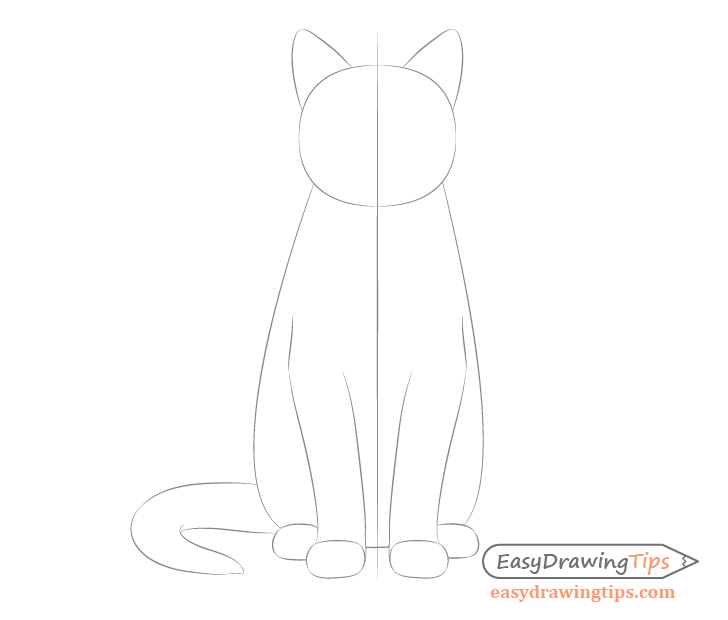 Cat sitting front view proportions sketch