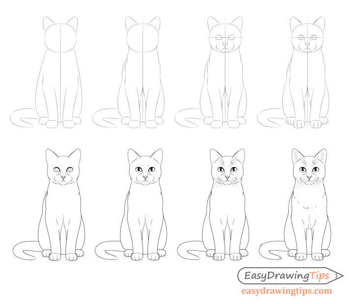 How To Draw A Cat Step By Step From Front View Easydrawingtips