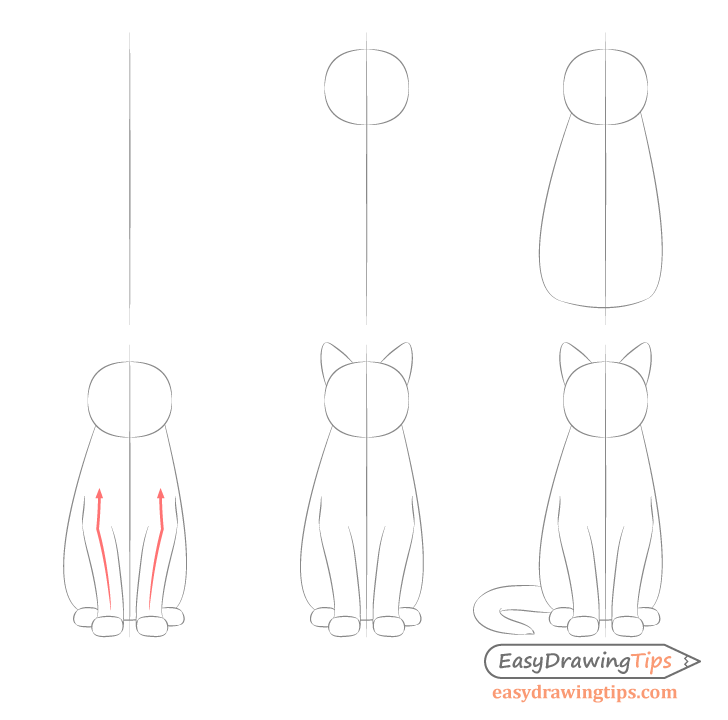 Cat sitting step by step front view proportions sketch