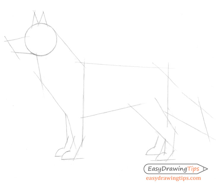 How to Draw a Dog 