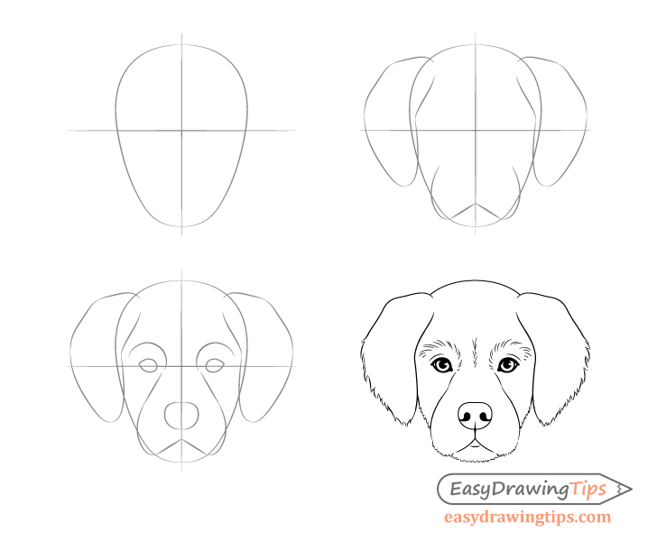 How to draw a dog step by step