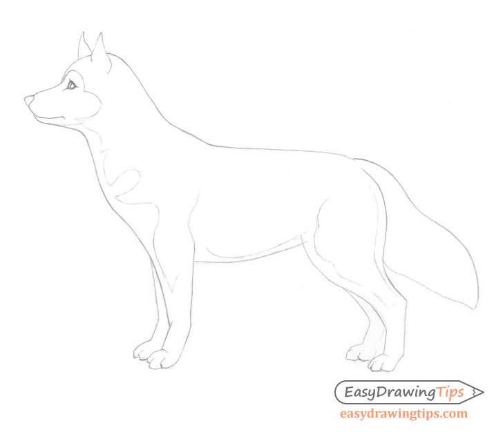 Outline dog drawing