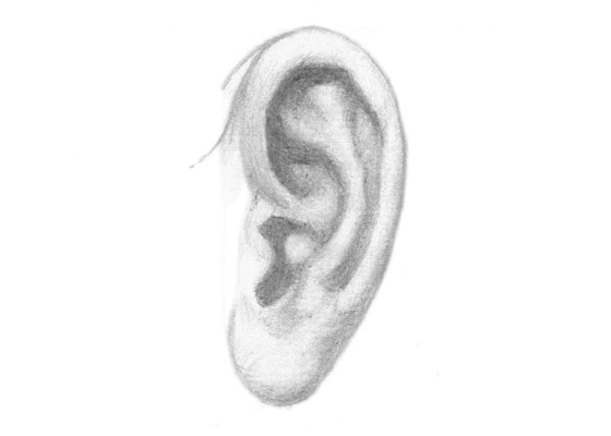 Ear side view drawing