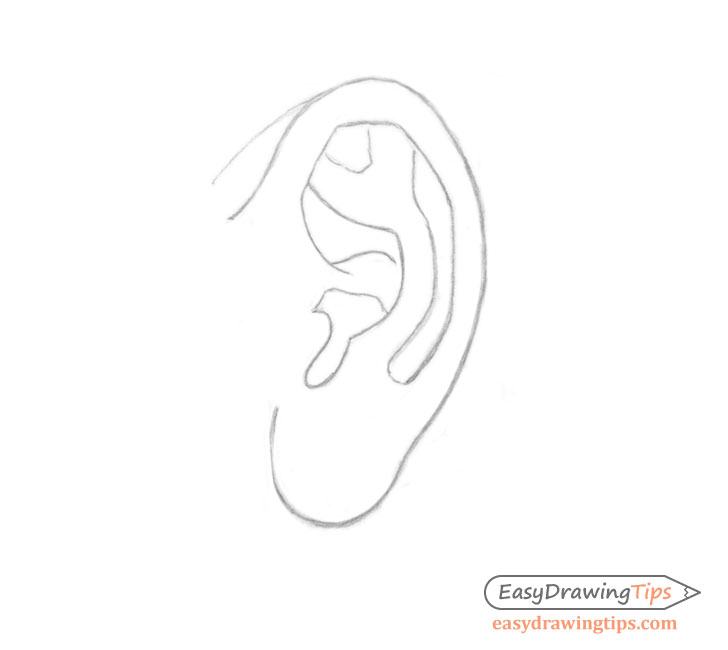 How to draw ear Profile view  Drawing Ear in simple steps  LOV4ARTS