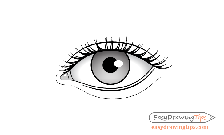 Explain the function of main parts of an eye by drawing a simple sketch of  it.
