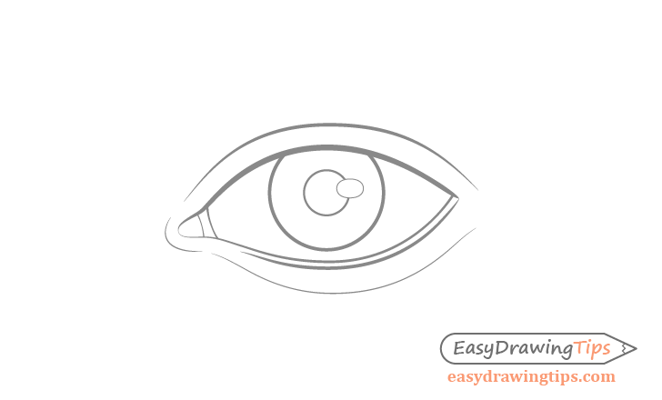 Eye eyelids drawing