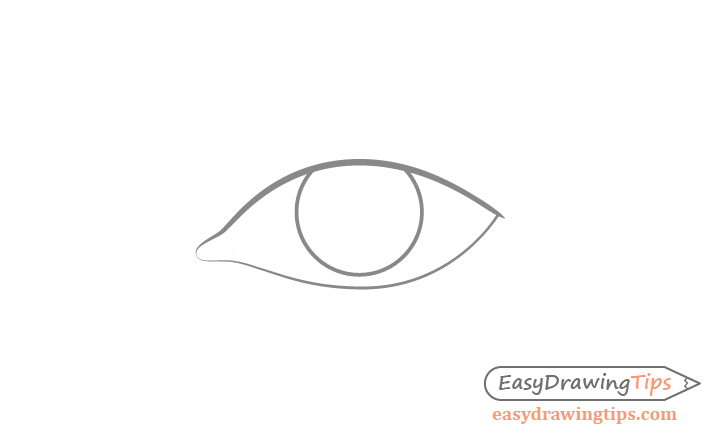 Eye iris drawing
