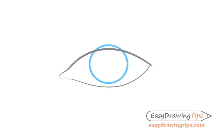 Eye iris outline drawing