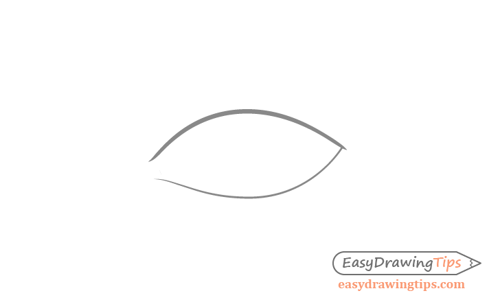 Eye shape drawing