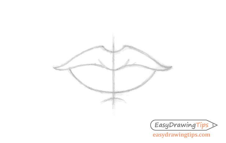 How To Draw Lips From 3 Different Views The stem is small and has large leaves with prominent tendons. how to draw lips from 3 different views