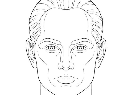 Male face drawing