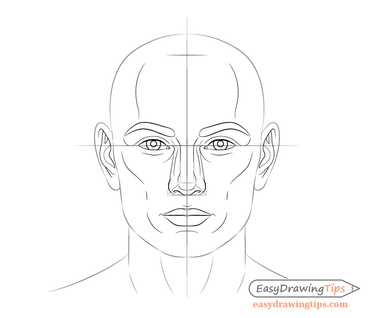 Male face facial features drawing