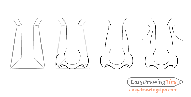 Male nose front view drawing step by step