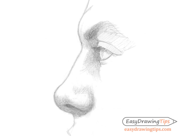 3 Step Nose Side View Drawing Tutorial Easydrawingtips Shading the nose.nose using soft shading, and another nose that uses more deliberate shading like in the. 3 step nose side view drawing tutorial