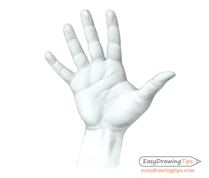 Hand open palm drawing