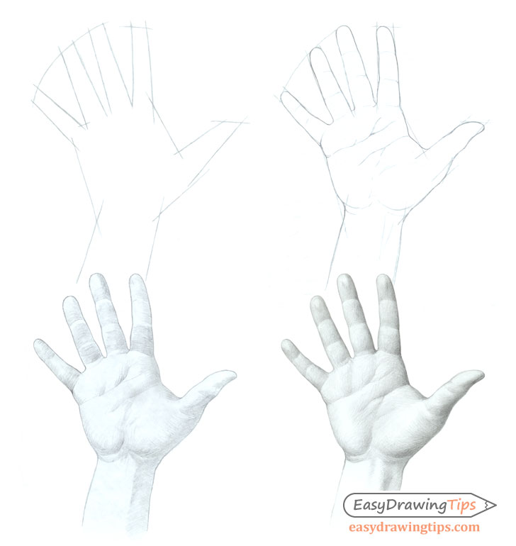 How To Draw Hands, Step by Step, Drawing Guide, by NeekoNoir - DragoArt