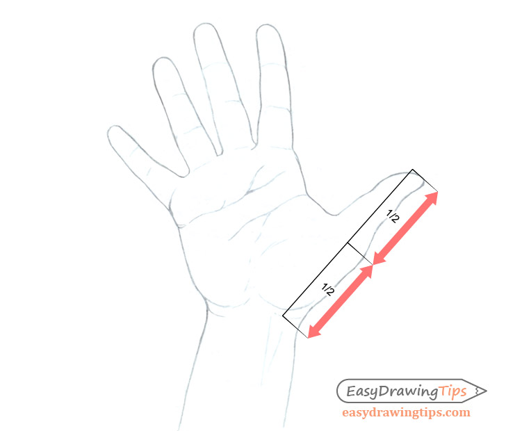 Featured image of post Male Hand Base Drawing Tips on hands and feet