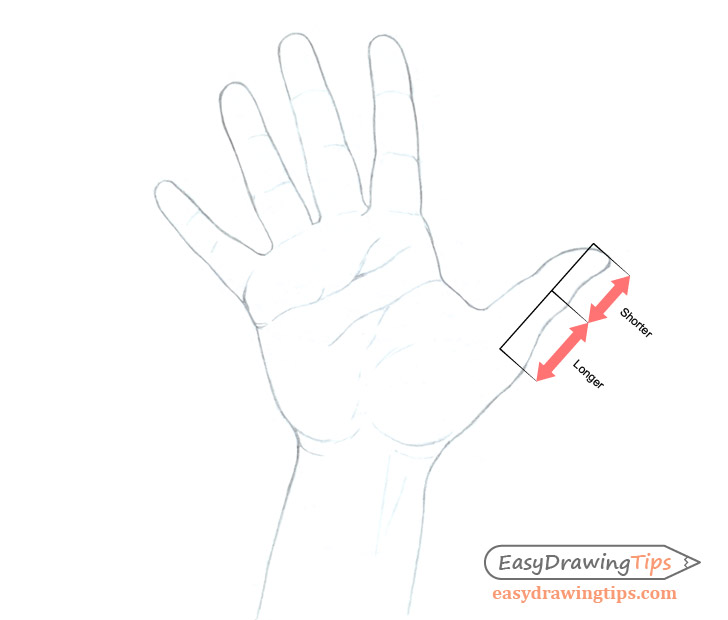 Featured image of post How To Draw An Open Hand Step By Step Learning how to draw realistic hands can be challenging because drawing cartoon hands can be easy for some but drawing