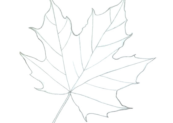 Leaf Sketch Images – Browse 1,022,824 Stock Photos, Vectors, and Video |  Adobe Stock