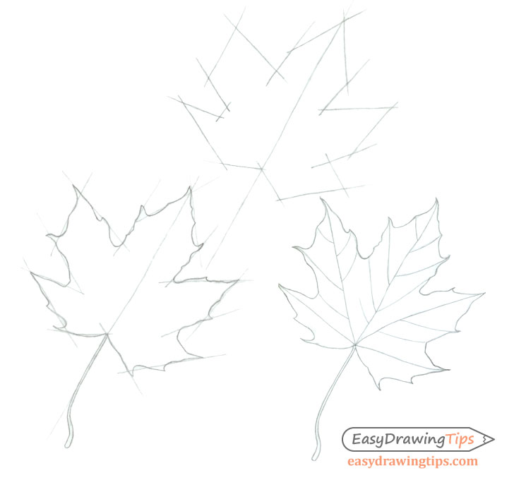 How to Draw Maple Leaves - Easy Leaf step by step drawing lesson - How to  Draw Step by Step Drawing Tutorials