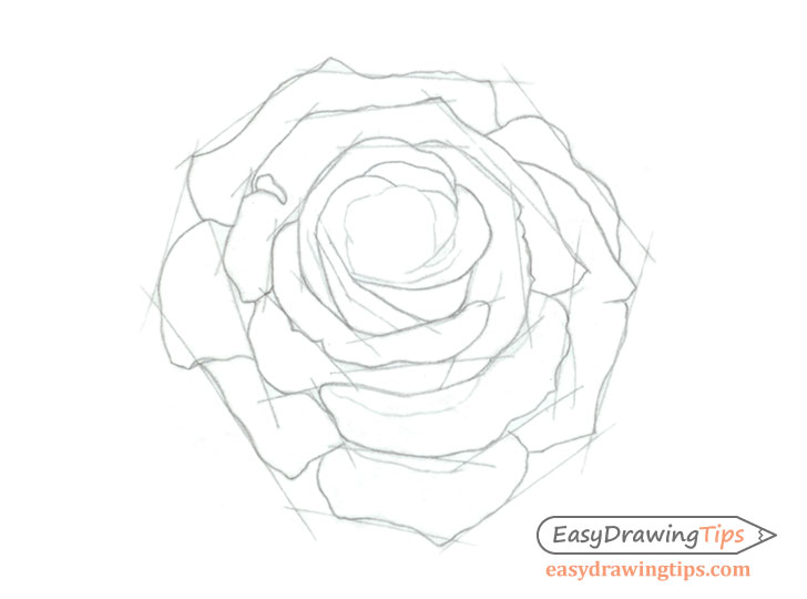 How To Draw A Rose Step By Step Tutorial EasyDrawingTips