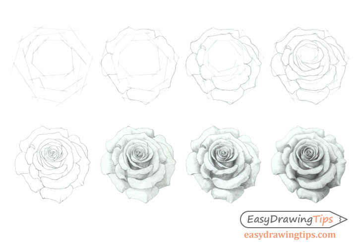 How to draw rose step by step Realistic rose drawing easy with pencil