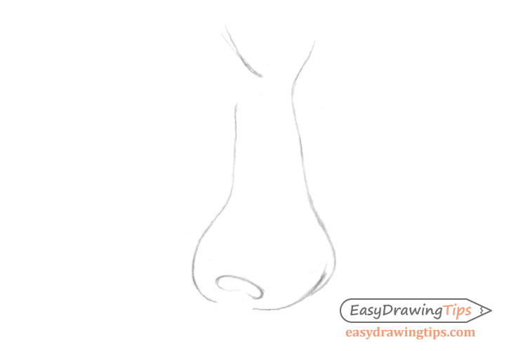 Nose three quarter view basic line drawing