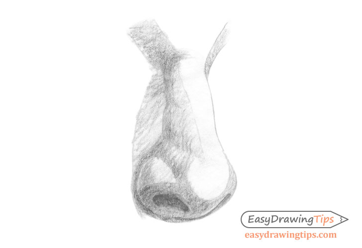 Nose three quarter view basic shading