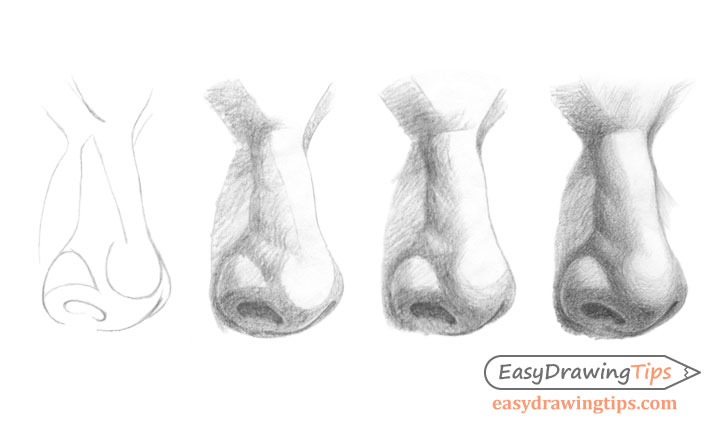 Nose three quarter view drawing step by step
