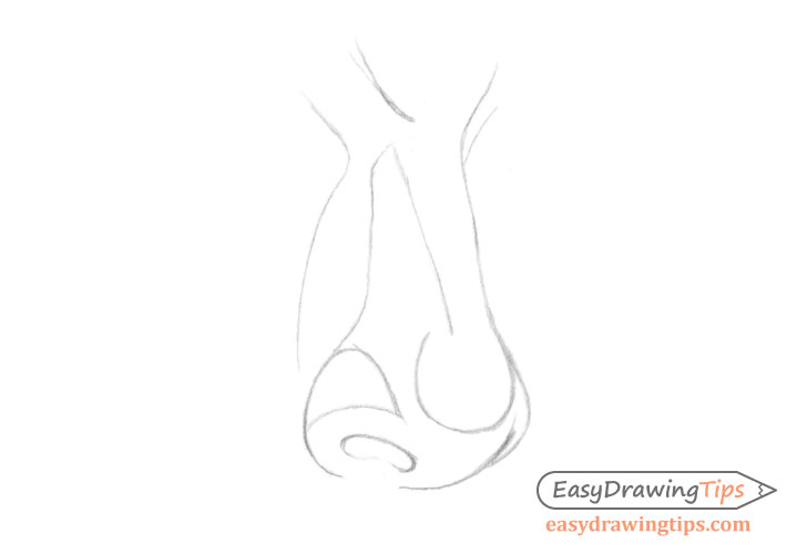 Nose three quarter view line drawing