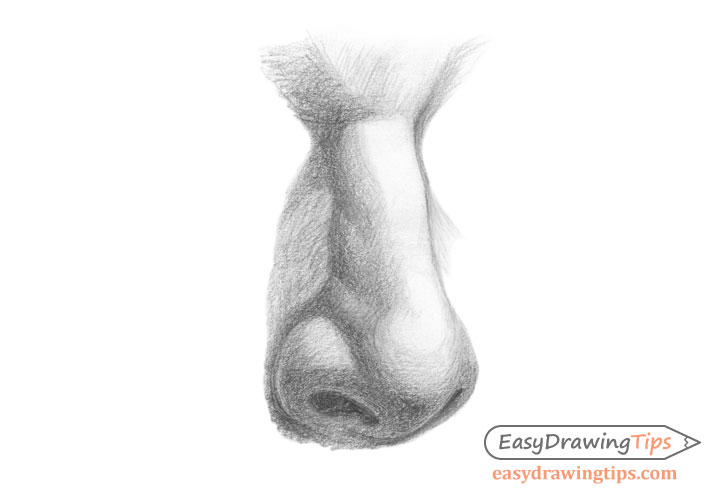 Nose three quarter view shaded drawing