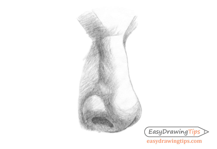 Nose three quarter view refined shading