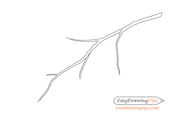 How To Draw A Tree Branch With Leaves Easydrawingtips