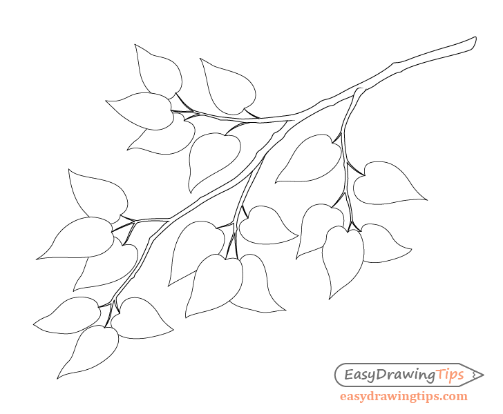 Branch with leafs outline drawing