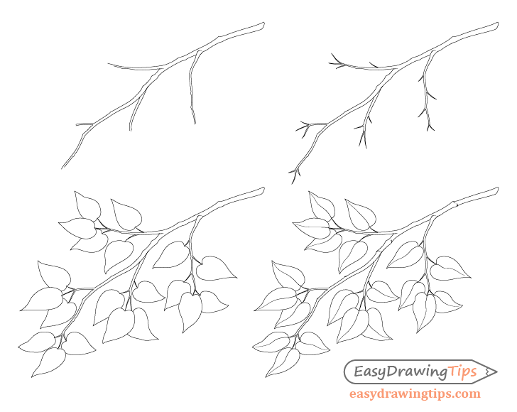 How To Draw A Tree Branch With Leaves Easydrawingtips