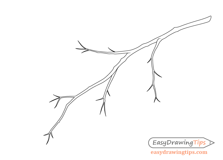 Apple Tree Branch Hand Drawn Sketch Style Illustration Isolated On White  Stock Photo Picture And Royalty Free Image Image 131059523