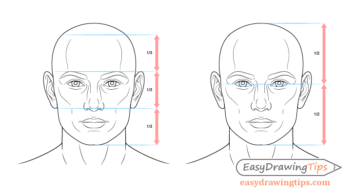 Face drawing proportions example