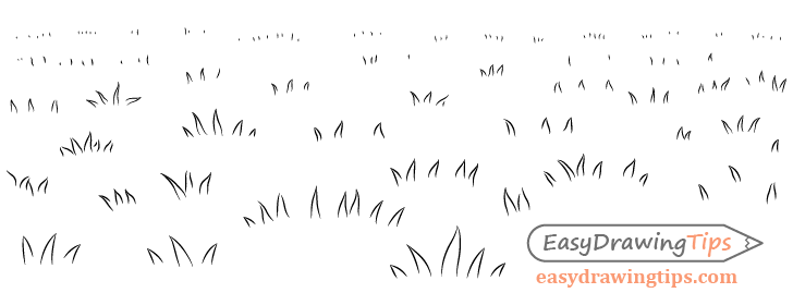 Grass drawing field