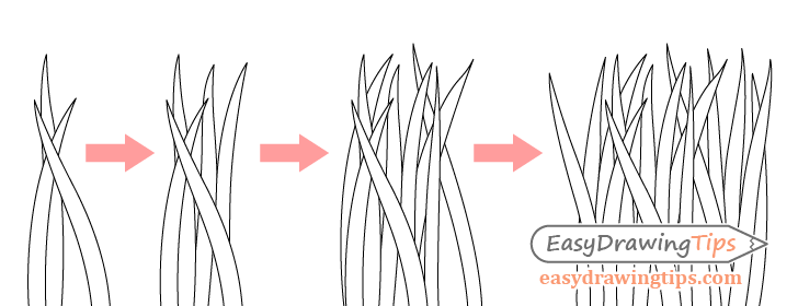 Grass drawing step by step