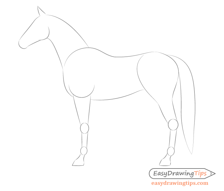 How-To-Draw-Horses  Horse drawings, Horse art drawing, Horse