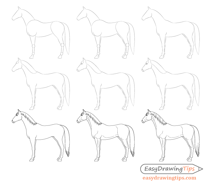 How-To-Draw-Horses  Horse drawings, Drawing lessons, Horse drawing