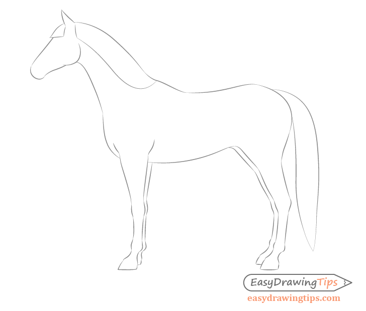 Sketch: Arabian horse by Noukah on DeviantArt