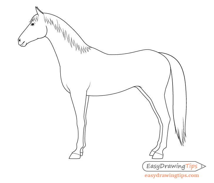 Easy Way Put Up Horse Fence