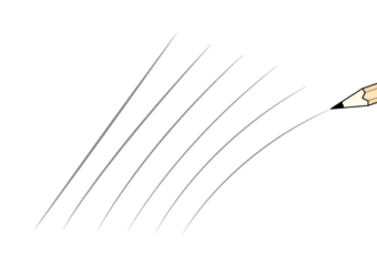 Beginner drawing guide