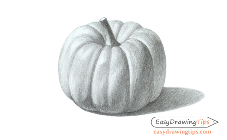 Realistic pumpkin drawing